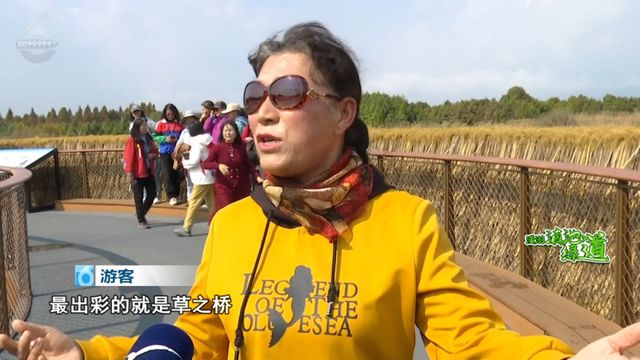 拍合照~昆明踏春好去处值得打卡！j9平台在草野里听春风和薰衣草(图8)